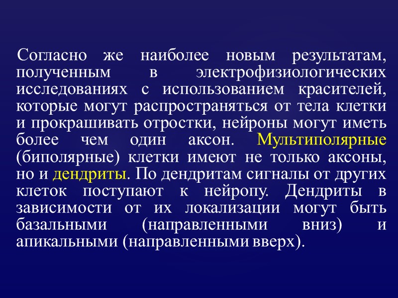 Согласно же наиболее новым результатам, полученным в электрофизиологических исследованиях с использованием красителей, которые могут